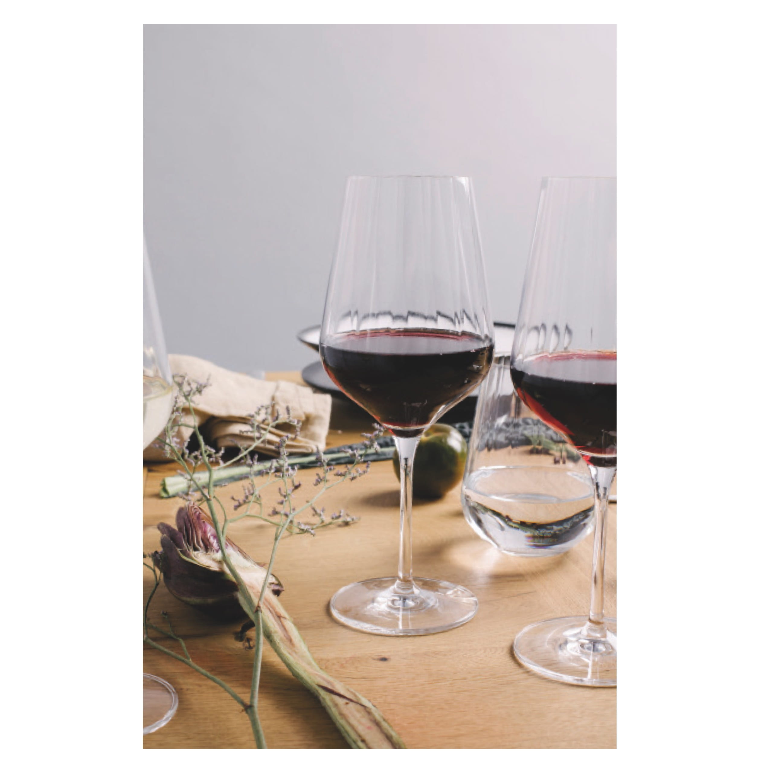 3661002_mMsro4XPgkFq5P