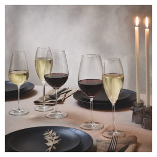 GLANZLICHT WEIN- UND CHAMPAGNERGLAS-SET H24 VON RITZENHOFF DESIGN TEAM