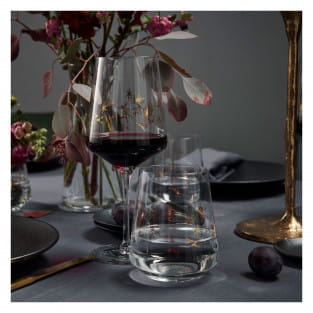 CELEBRATION DELUXE RED WINE AND WATER GLASS SET #1 BY ROMI BOHNENBERG