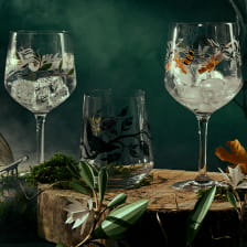 Botanic Glamour – Gin