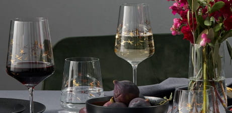 Celebration Deluxe –  Champagner-, Whisky-, Wein- + Wassergläser-Set