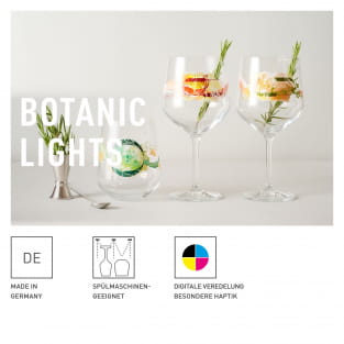 BOTANIC LIGHTS GINGLAS SET #1, #2 BY HEIKE ZUSCHKE