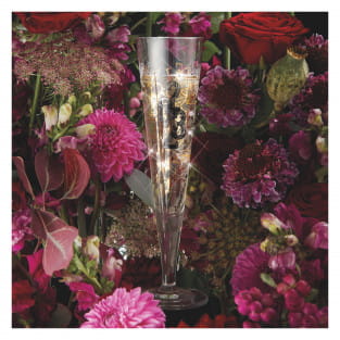BRILLANTNACHT CHAMPAGNE GLASS SET #2023 BY ROMI BOHNENBERG