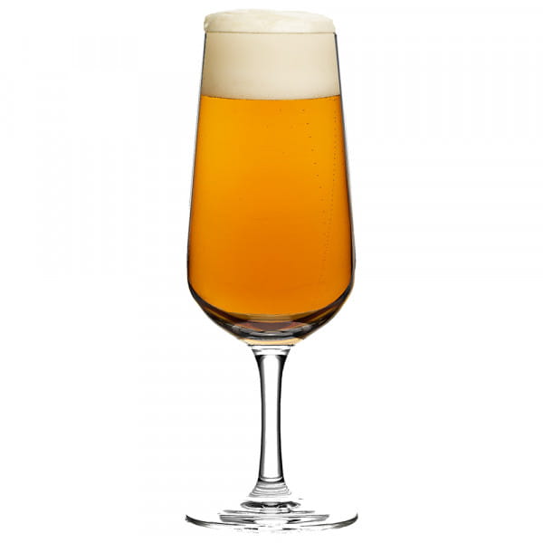 Aspergo Set of 6 Beer Glass by Ritzenhoff