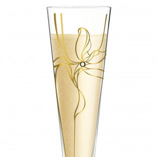 Champus Champagne Glass by Malika Novi